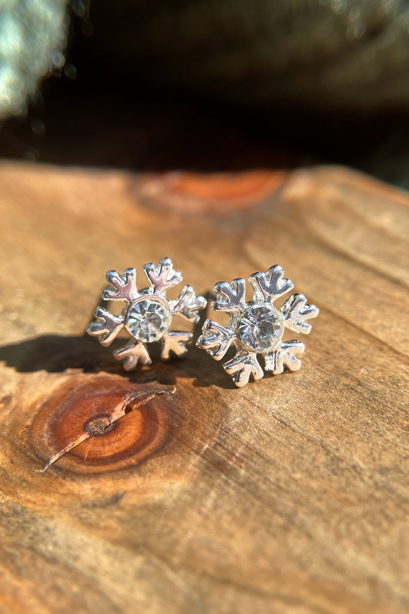 Snowy Day Earrings